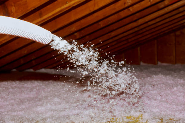 Best Insulation Maintenance and Repair in Wild Peach Village, TX