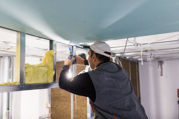 Best Residential Insulation in Wild Peach Village, TX