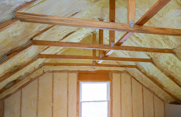 Best Specialized Insulation Services in Wild Peach Village, TX