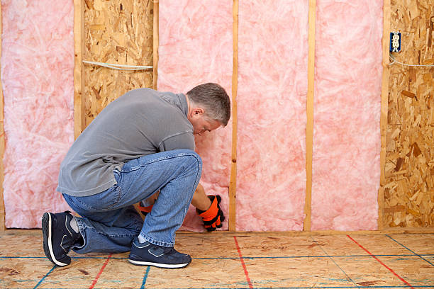 Best Eco-Friendly Insulation in Wild Peach Village, TX