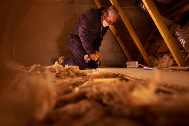 Types of Insulation We Offer in Wild Peach Village, TX